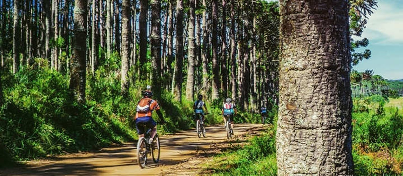 Turismo ecológico, la bicicleta como solución para preservar los destinos turísticos