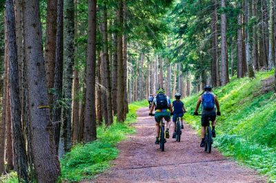 Neumáticos para viajes en MTB