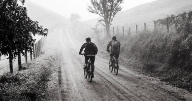 ¿Qué neumático elegir para un viaje en bicicleta?